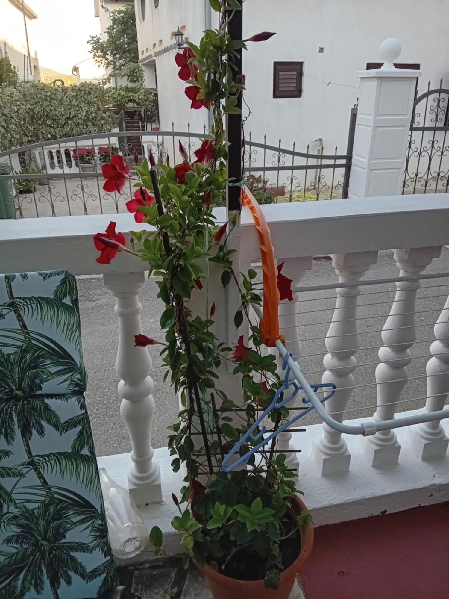 Apartments Vendi Šibenik Dış mekan fotoğraf