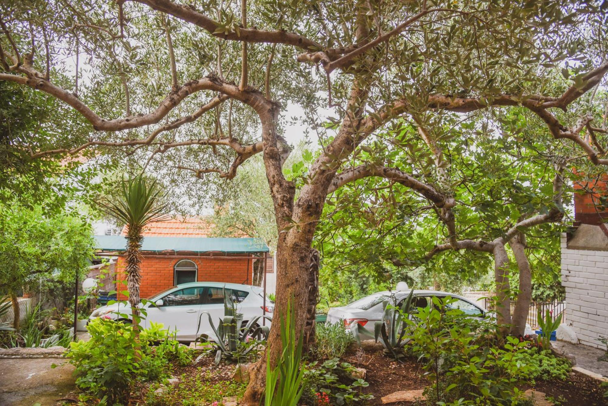Apartments Vendi Šibenik Dış mekan fotoğraf