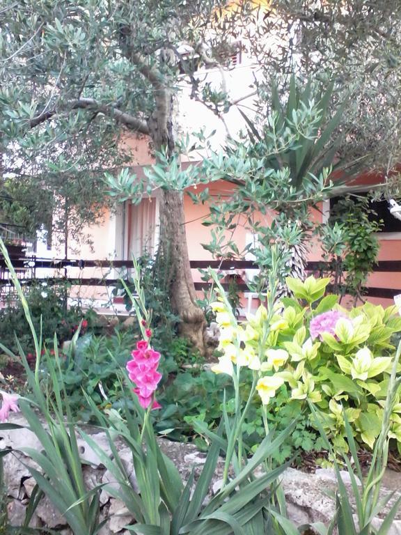 Apartments Vendi Šibenik Dış mekan fotoğraf